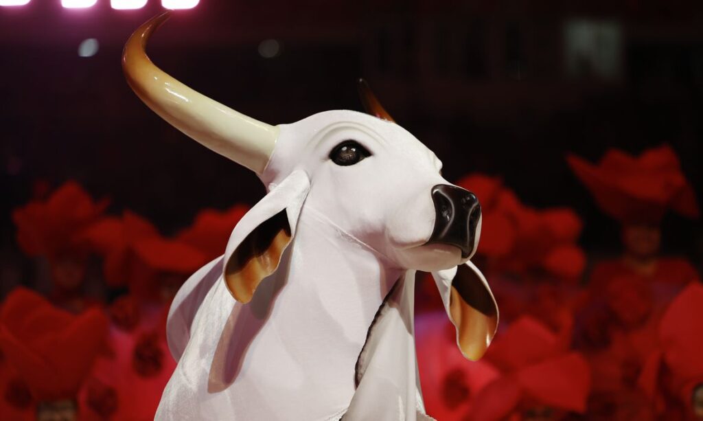 ada cultural, que antecede o Festival Folclórico do Amazonas 2026, e promete mov