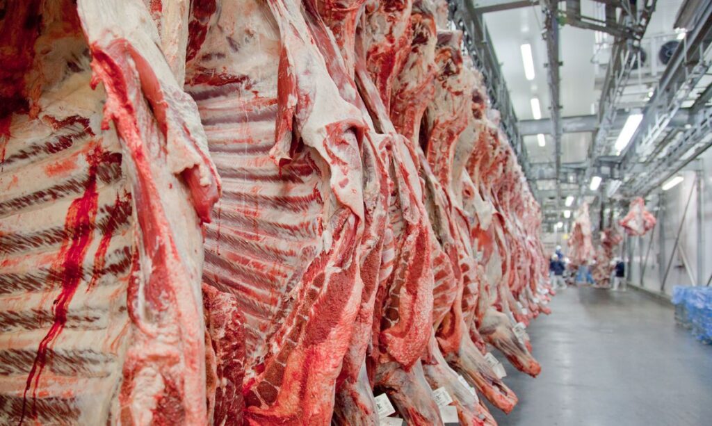 tar produtos de origem animal destinados ao consumo humano para o bloco europeu