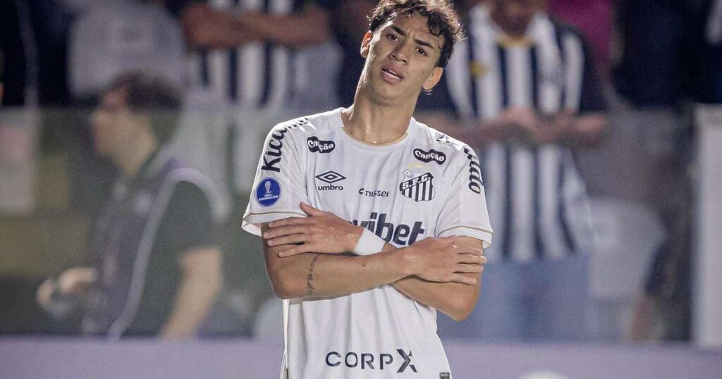 Gabriel Bontempo pelo Santos Foto: Reprodu&ccedil;&atilde;o/Santos FC / Esporte News Mundo