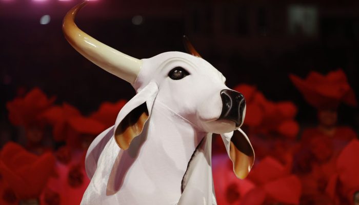 ada cultural, que antecede o Festival Folclórico do Amazonas 2026, e promete mov
