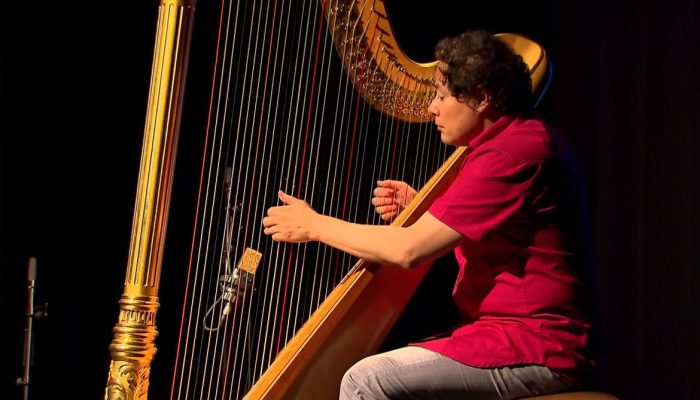 © Festival Internacional de Harpas no Rio/Divulgação