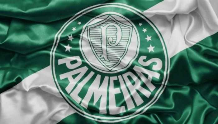 Polêmica na Libertadores: lance de pênalti não marcado em Palmeiras e Cerro Porteño gera debate